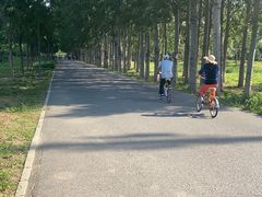 -东郊湿地公园