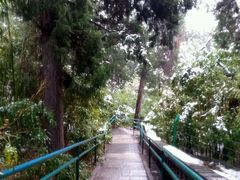 android_upload_pic-景山公园