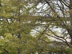 -棒棰岛宾馆景区
