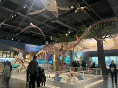 -国家自然博物馆