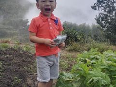 -南尖岩