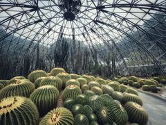 -深圳仙湖植物园