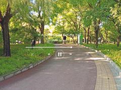 -方庄体育公园