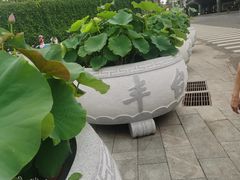 -丰台花园