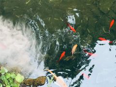 -故乡缘·香格里拉山庄(冷竹路店)