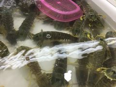 -班赞海鲜市场