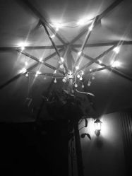 -Flora婚纱礼服定制租赁店