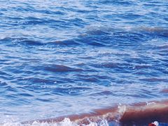 -青岛石老人海水浴场