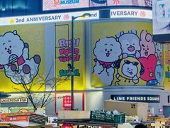 -line friends(明洞旗舰店)