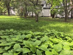 -玲珑塔公园