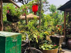 -青城甲(青城山店)