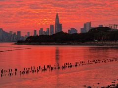 -深圳湾公园(南山区)
