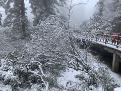 -瓦屋山景区
