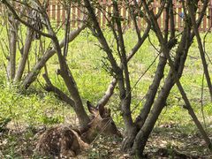 -上海交通大学(闵行校区)