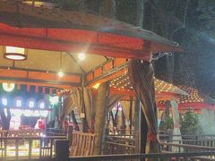 -二荆条·蜀鲜汇城市森林火锅