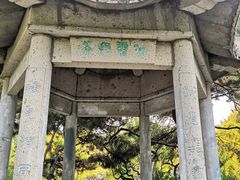 -团结湖公园