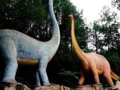 -佛冈森波拉度假区