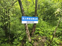 -鹿院坪生态旅游景区
