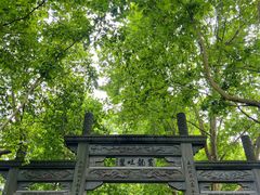 -杭州黄龙洞
