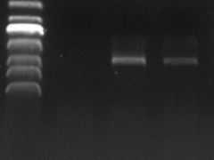 -阿弟特色海鲜餐厅·大排档(平潭店)