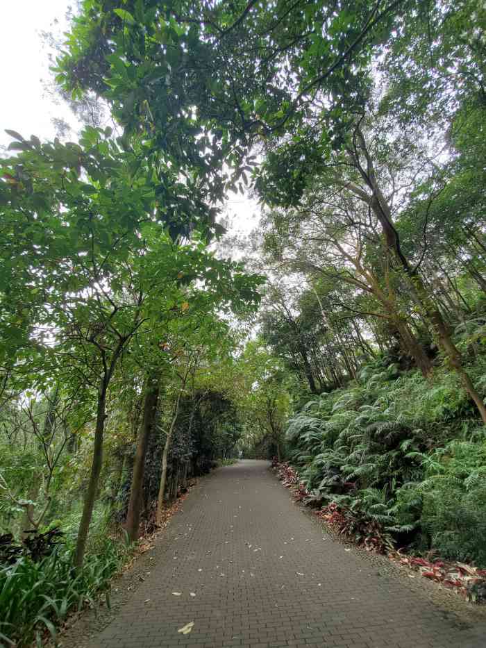 滴水巖森林公園