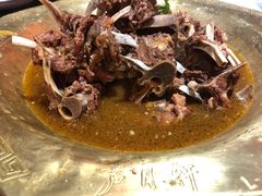 -芦月轩羊蝎子(劲松店)