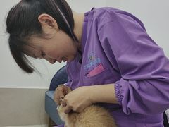 -北京观赏动物医院·24小时大型综合·猫专科·异宠专科