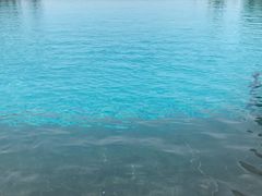 -海口绿发希尔顿酒店-田园汇自助餐·三文鱼·海鲜