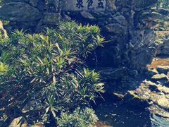 -上海醉白池公园