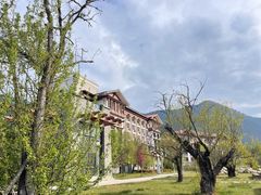 -林芝工布庄园希尔顿酒店-猎味中餐厅