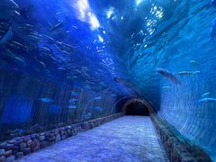 -华夏文旅海洋公园