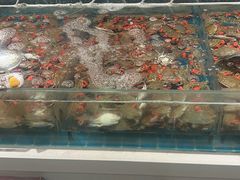 -威海蓝海御华大饭店·蓝钻美食自助百汇
