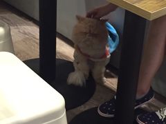 -小时光咖啡馆(开森度假森林店)