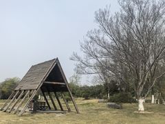-九里湖国家湿地公园