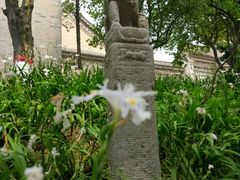 -西安关中民俗艺术博物院