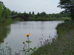 -南湖湿地公园