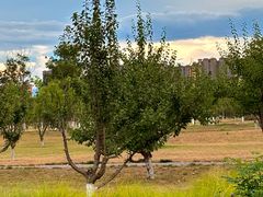 -汉长安城未央宫国家考古遗址公园