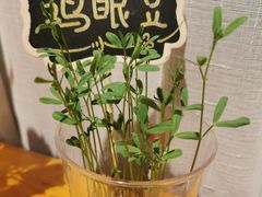 -饵块食光·云南有机手作饵块