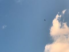-河滨大楼