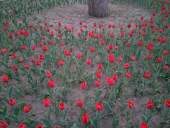 景点-长春公园(普阳街道)