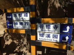 -吉林市朱雀山国家森林公园