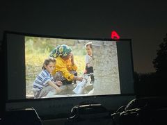 -枫花园汽车电影院(朝阳公园店)