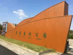 -黄海国家森林公园