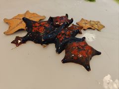 -桃源市场(解放路店)