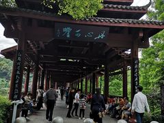 -重庆彩云湖湿地公园