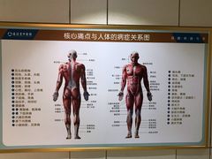 -通透堂中医·精准推拿(旗舰店)