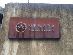 -看见远方·莫干遥远的山民宿