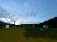 -杭州半山国家森林公园