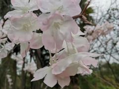 -深圳野生动物园