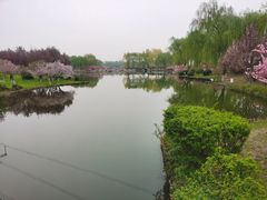 -石家庄市植物园
